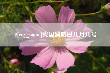 枝江我国消防日几月几号