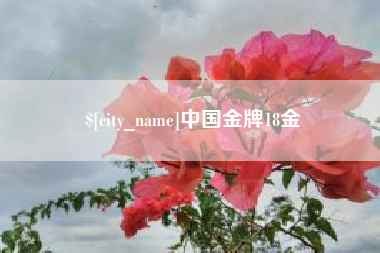 枝江中国金牌18金