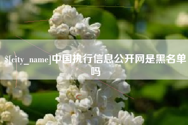 枝江中国执行信息公开网是黑名单吗