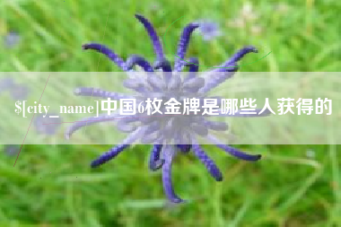 枝江中国6枚金牌是哪些人获得的