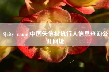 枝江中国失信被执行人信息查询公开网址