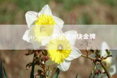 枝江奥运会39块金牌