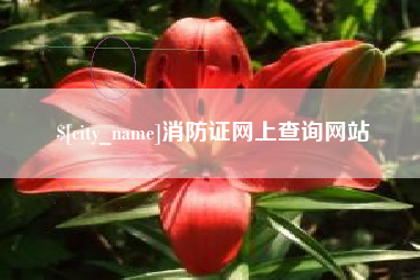 枝江消防证网上查询网站