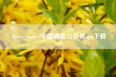 枝江中国消防公众号app下载