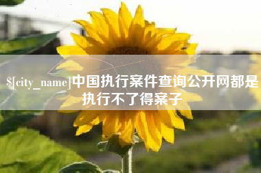 枝江中国执行案件查询公开网都是执行不了得案子