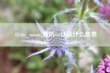 枝江消防ccc认证什么意思