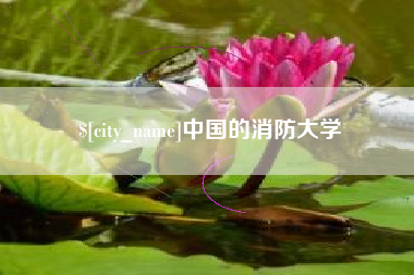 枝江中国的消防大学