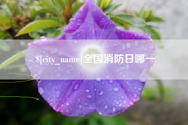 枝江全国消防日哪一