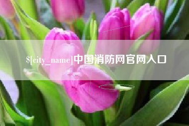 枝江中国消防网官网入口