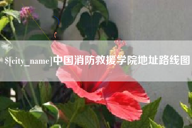 枝江中国消防救援学院地址路线图