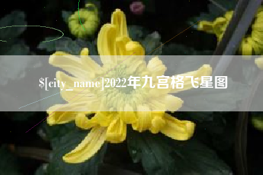 枝江2022年九宫格飞星图