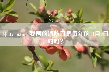 枝江我国的消防日是每年的11月9日对吗？