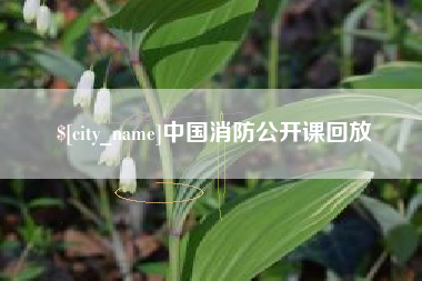 枝江中国消防公开课回放