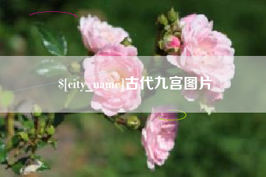 枝江古代九宫图片