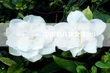 枝江中国的几块金牌2021