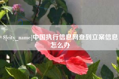 枝江中国执行信息网查到立案信息怎么办