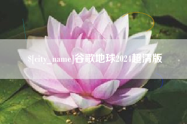 枝江谷歌地球2024超清版