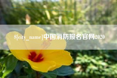 枝江中国消防报名官网2020