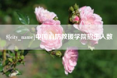 枝江中国消防救援学院招生人数