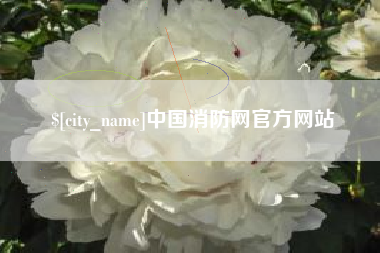 枝江中国消防网官方网站