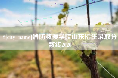 枝江消防救援学院山东招生录取分数线2020