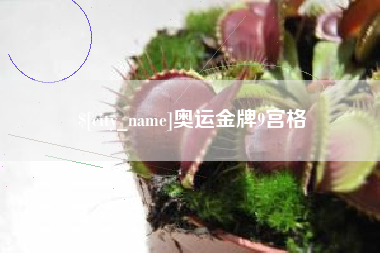 枝江奥运金牌9宫格