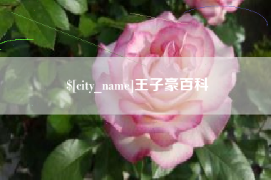 枝江王子豪百科