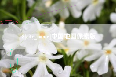 枝江中国地图像素版