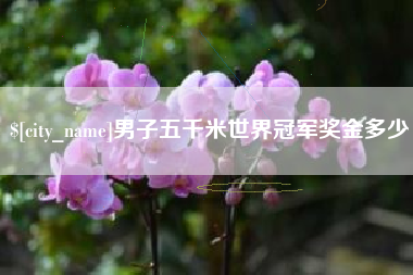 枝江男子五千米世界冠军奖金多少