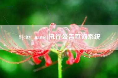 枝江执行公告查询系统