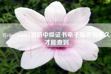 枝江消防中级证书电子版查询多久才能查到