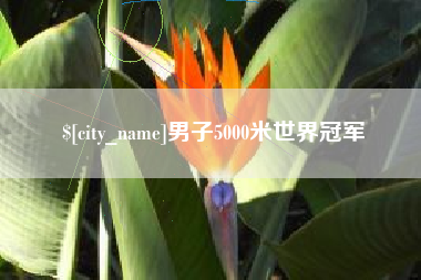 枝江男子5000米世界冠军
