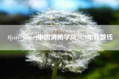 枝江中国消防学院2024年分数线
