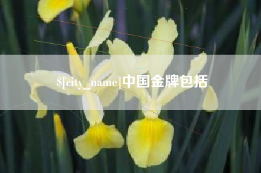 枝江中国金牌包括