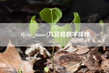 枝江九宫格数字排序
