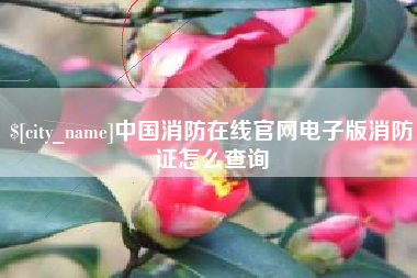 枝江中国消防在线官网电子版消防证怎么查询