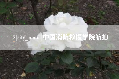 枝江中国消防救援学院航拍