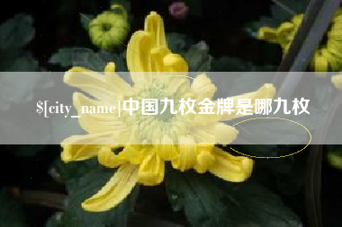 枝江中国九枚金牌是哪九枚
