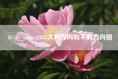 枝江2025大利方向和不利方向图