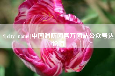 枝江中国消防网官方网站公众号达伦特