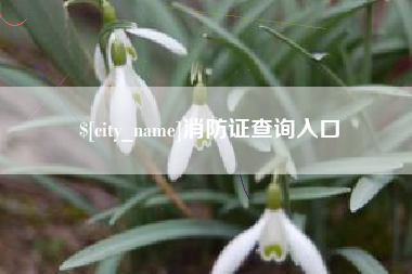 枝江消防证查询入口