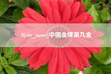 枝江中国金牌第九金