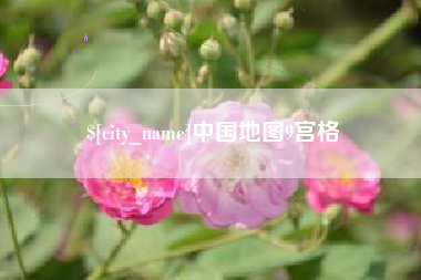 枝江中国地图9宫格