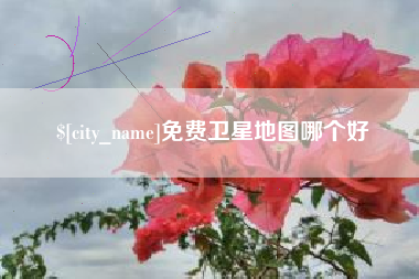 枝江免费卫星地图哪个好