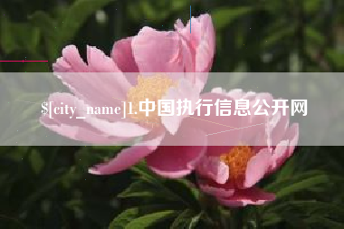 枝江1.中国执行信息公开网