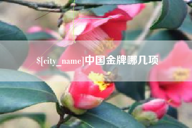 枝江中国金牌哪几项