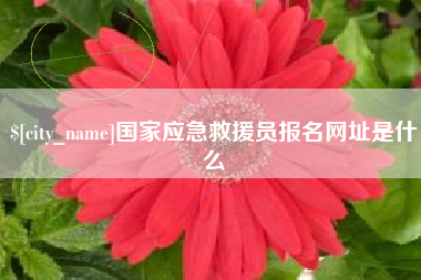 枝江国家应急救援员报名网址是什么