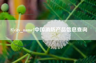 枝江中国消防产品信息查询