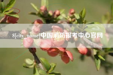 枝江中国消防报考中心官网