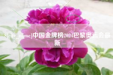 枝江中国金牌榜2024巴黎奥运会最新